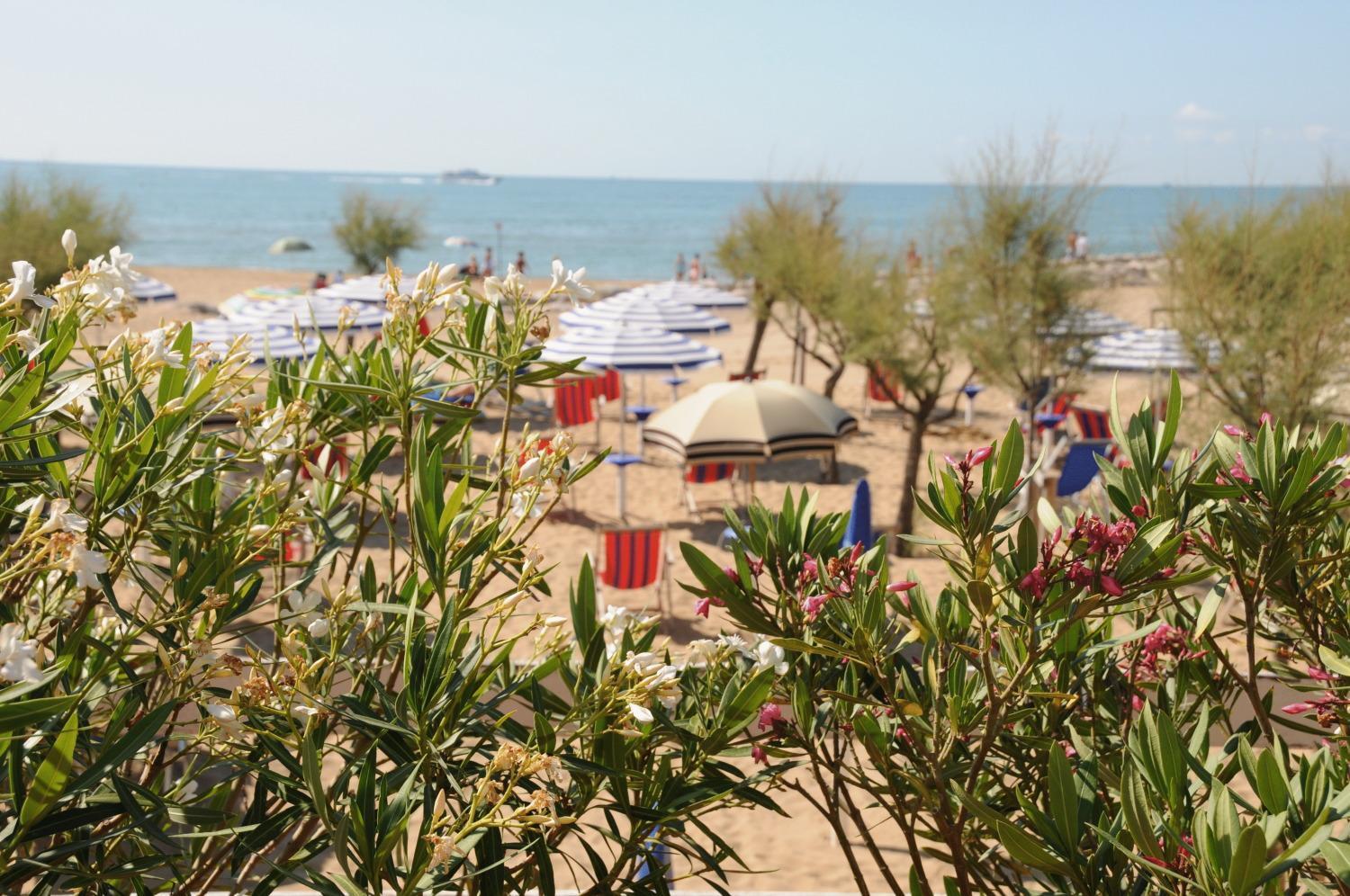 Hotel Fenix 3*